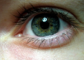 Scientists make a key discovery about human memory