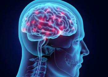 Neuroimaging study shows brain activity corresponds to men’s self-stated sexual orientations