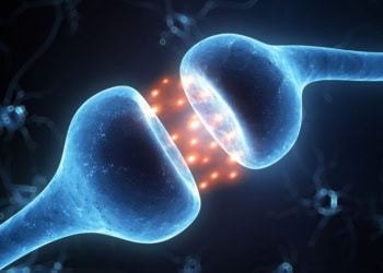 Study finds LSD produces dreamlike states in awake humans by stimulating serotonin receptors