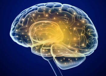 Neuroscience research shows we reorganize our memory based on how we will use it later