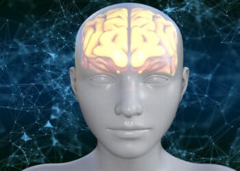 New evidence points to an independent, specifically social visual pathway