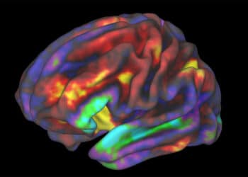 CBD does not appear to alter functional activity in the brain’s reward circuit