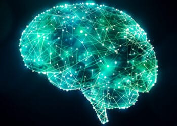 Psychopathic tendencies linked to patterns of brain connectivity, according to new neuroscience study