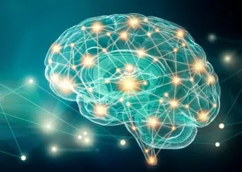 New brain imaging research sheds light on the neural underpinnings of emotional intelligence