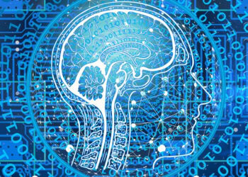 Whole-brain simulations hint at the neurobiological mechanisms underlying psychedelic-induced entropy