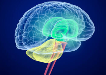 Remitted recurrent major depressive disorder associated with residual neural regulation abnormalities