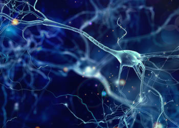 Study finds brain changes associated with ADHD remission