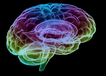 Psychopathic women show reduced structural integrity in brain region linked to emotional responses