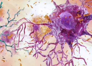 Deep sleep emerges as potential shield against Alzheimer’s memory decline