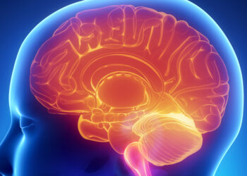 Eye contact avoidance in autism may stem from abnormal sensitivity of brain’s threat processing system, study suggests