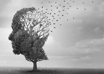 New research links climate change to shrinking brain size in modern humans