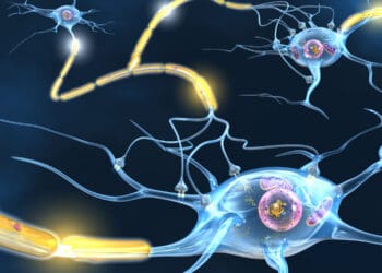 Longer football careers linked to reduced white matter brain integrity, study finds