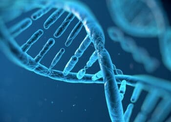 Shifting genetic tides: How early language skills forecast ADHD and literacy outcomes