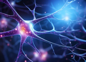 Ayahuasca accelerates fear extinction via its effect on serotonin receptors