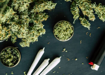Teens who use cannabis are 11 times more likely to develop a psychotic disorder