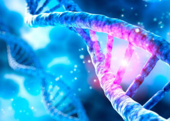 Scientists uncover potential genetic mechanisms behind the sex bias observed in autism