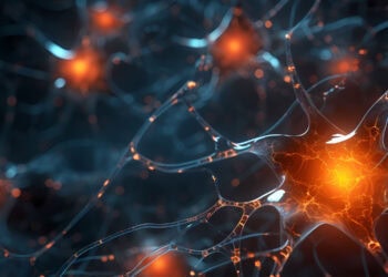 Autism severity rooted in embryonic brain growth, study suggests