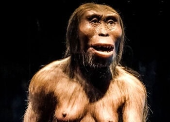 What the 3.2 million-year-old Lucy fossil reveals about nudity and shame