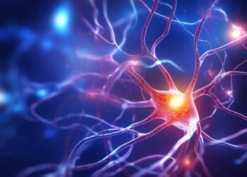 Visual hallucinations in Parkinson’s disease linked to cholinergic deficiency