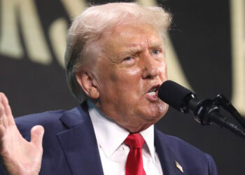 The psychological puzzle of Donald Trump: Eye-opening findings from 20 studies