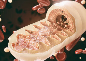 Unlocking mitochondrial secrets: New hope for Parkinson’s treatment