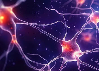 Psychedelic drug DOI activates specific brain neurons to ease anxiety