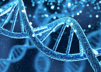 Genetic analysis reveals role of melatonin in ADHD symptom severity