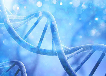 Shared genetic factors uncovered between ADHD and cannabis addiction