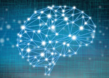 New neuroscience research sheds light on distinct patterns of learning and generalization in autistic adults