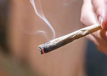 Prenatal cannabis exposure linked to early childhood behavioral and cognitive challenges