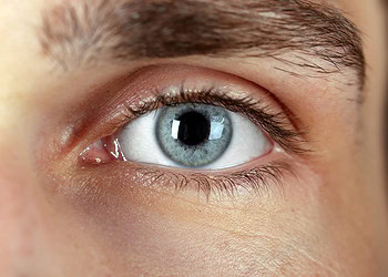 People with autistic traits show reduced attentional bias towards animals