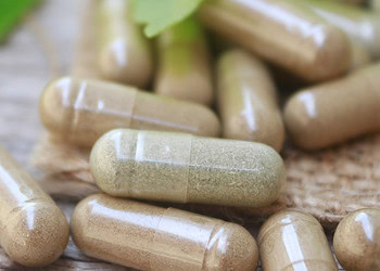 Can Acacia catechu and Scutellaria baicalensis extracts enhance brain function?