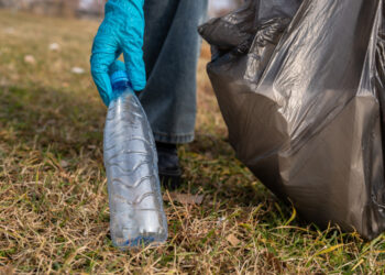 Eco-friendly actions boost happiness as much as hobbies, research shows