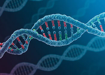 Genes and childhood trauma both play a role in adult ADHD symptoms, study finds