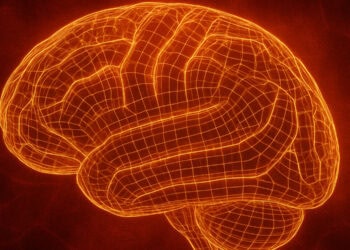 Neuroscientists use AI to uncover distinct brain networks linked to narcissism and Machiavellianism