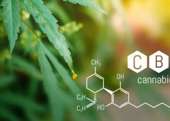 Cannabidiol shows promise for treating Alzheimer’s in mice by targeting brain hyperactivity