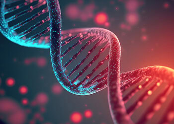 Genetic risk for alcoholism linked to brain immune cell response, study finds