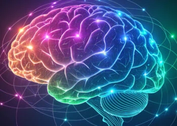 Neuroscientists identify a shared brain circuit for creativity