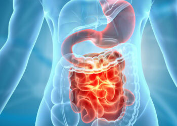 Inflamed human digestive system highlighting stomach and intestines, medical illustration emphasizing gastrointestinal health and its impact on mental well-being and psychology news.