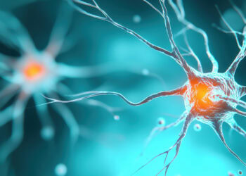 Surprisingly widespread brain activity supports economic decision-making, new study finds