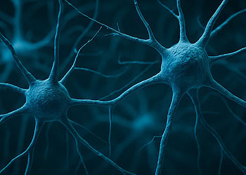 Scientist discover ancient brain-cleaning system that may break down in Alzheimer’s disease