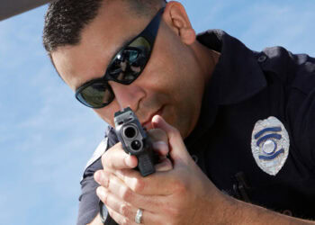 Surprisingly strong link found between neighborhood greenness and police shootings