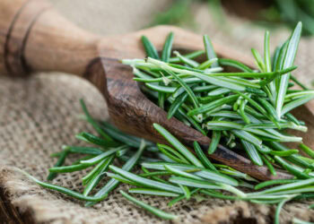 A common herb shows promise for boosting brain health and fighting Alzheimer’s