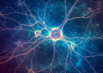 Scientists link common “forever chemical” to male-specific developmental abnormalities