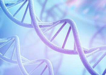 People high in psychopathy and low in cognitive ability are the most politically active online, study finds