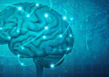 Scientists identify a mysterious brain signal tied to stress and hormone pulses