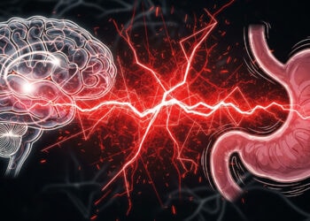 Neural connection between brain and stomach illustrating mind-gut axis, neural signaling, and psychological factors influencing gastrointestinal health. Conceptual image for neuroscience and psychology research.