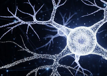 In neuroscience breakthrough, scientists identify key component of how exercise triggers neurogenesis