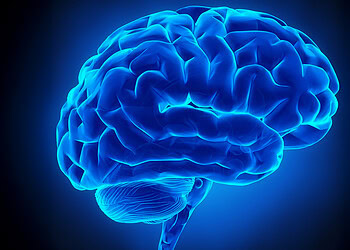 Illuminated blue human brain with neural pathways, representing neuroscience and psychological research in mental health and cognitive function.