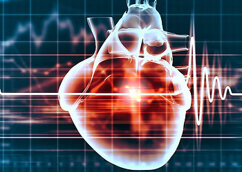 Heart and brain illustration with electrocardiogram waves, representing cardiovascular health and neurological connection, suitable for psychology and medical research articles.